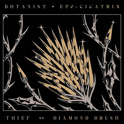 Cicatrix - Diamond Brush - Vinile LP di Thief,Botanist