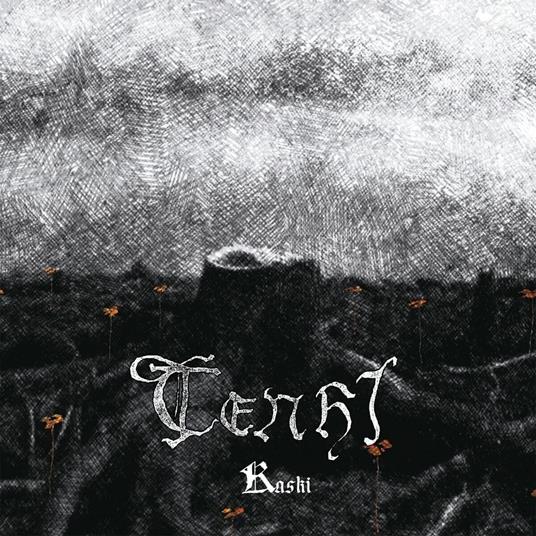 Kaski (Clear Edition) - Vinile LP di Tenhi