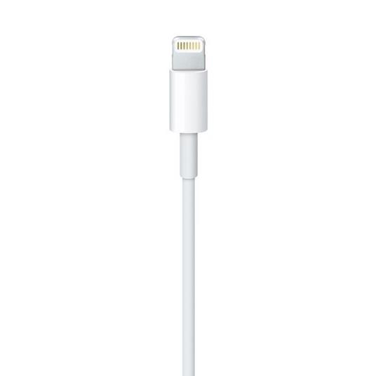 Apple Iphone Cavo da Lightning a USB (2m) - 24