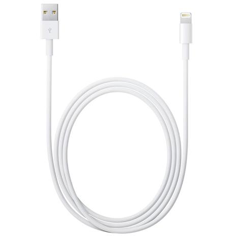 Apple Iphone Cavo da Lightning a USB (2m)