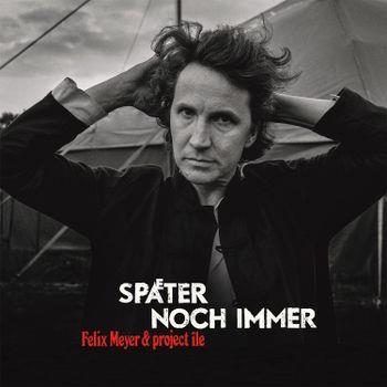 Spater Noch Immer - Vinile LP di Felix Meyer