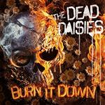 Burn it Down (Picture Disc Limited Edition)