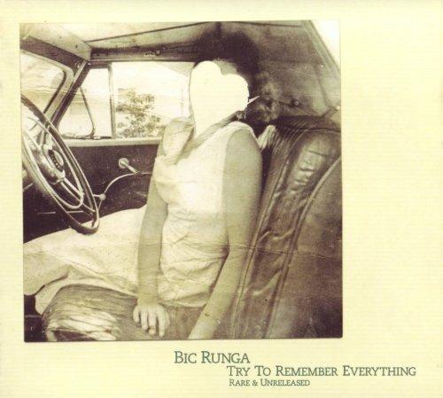 Try to Remember Everything - CD Audio di Bic Runga