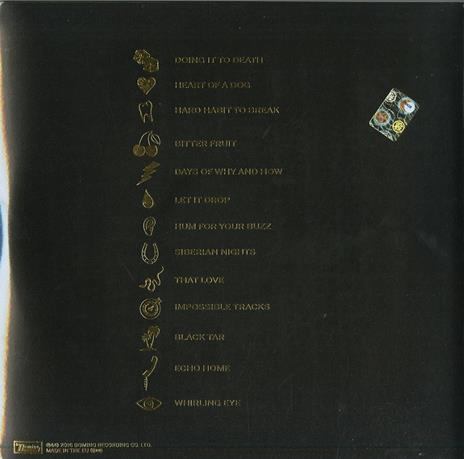Ash & Ice - Vinile LP di Kills - 2