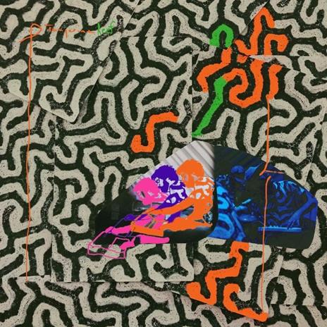 Tangerine Reef (Special Edition) - Vinile LP di Animal Collective