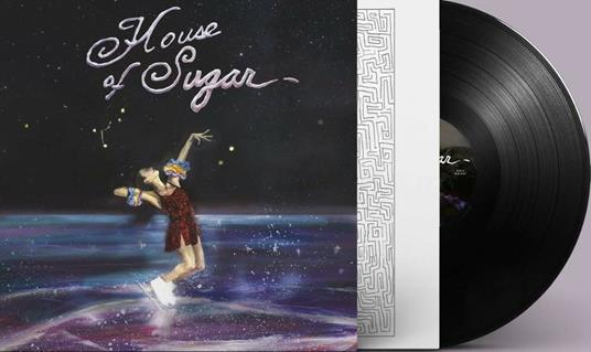 House of Sugar - Vinile LP di (Sandy) Alex G - 2