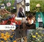 Secret Ep - Vinile 10'' di Sebadoh