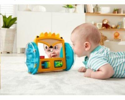 Riccio Gattona con Me (GJW14) - Fisher Price - Giochi interattivi -  Giocattoli | IBS