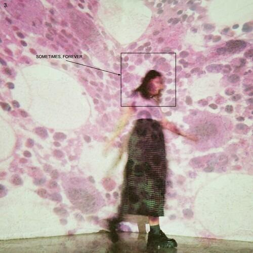 Sometimes, Forever - Vinile LP di Soccer Mommy