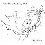 Tourist (Digipack) - CD Audio di Clap Your Hands Say Yeah