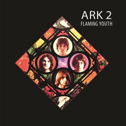 Ark 2 - Vinile LP di Flaming Youth