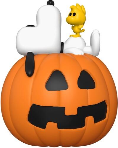 FUNKO POPS Peanuts Snoopy w/Woodstock