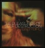 Pleasures of Self Destruction - CD Audio di Babybird