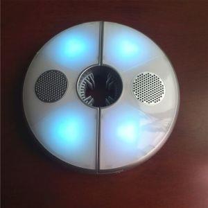 Lampada Luce Ombrellone 48 Led Con Speaker Audio Bluetooth Senza Fili  Ricaricabile - Peragashop - Casa e Cucina | IBS