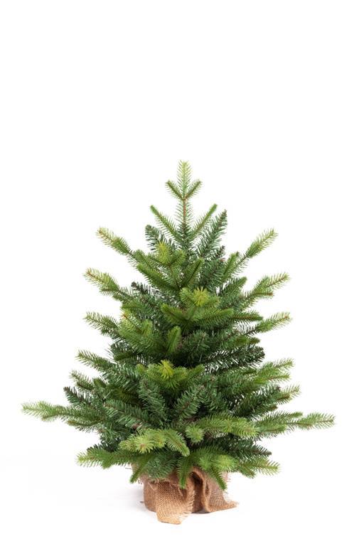 Pinetto Verde 60cm Con Base In Juta Folto Pe+pvc Natale Albero Addobbi