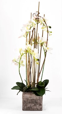 Phalaenopsis Orchidea Artificiale 90Cm Con Vaso Quadrato Bianca Fiori  Piante Artificiali