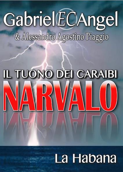 NARVALO - Il tuono dei Caraibi - Alessandro Agostino Piaggio,Gabriel EC Angel - ebook