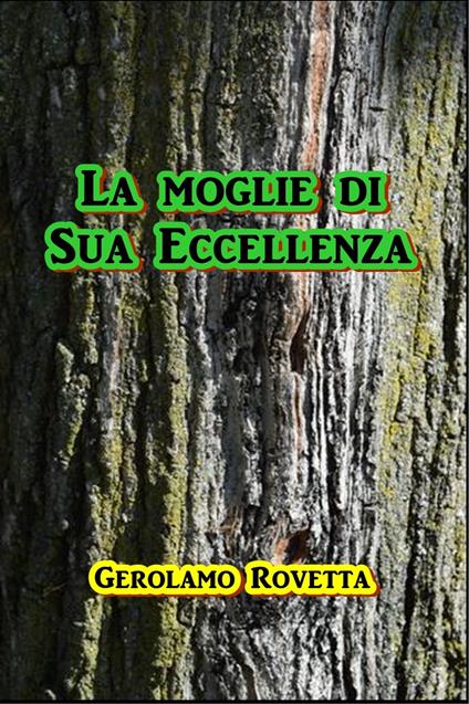 La moglie di Sua Eccellenza - Gerolamo Rovetta - ebook