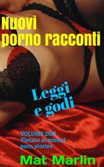 Nuovi porno racconti volume due