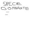 SPECIE DOMINANTE