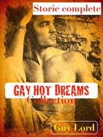 Gay Hot Dreams