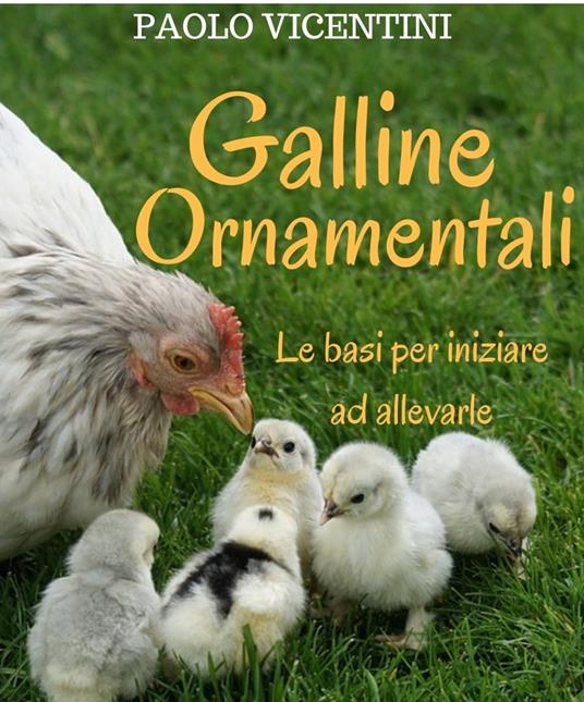 Galline Ornamentali: le basi per iniziare ad allevarle - Vicentini Paolo - ebook