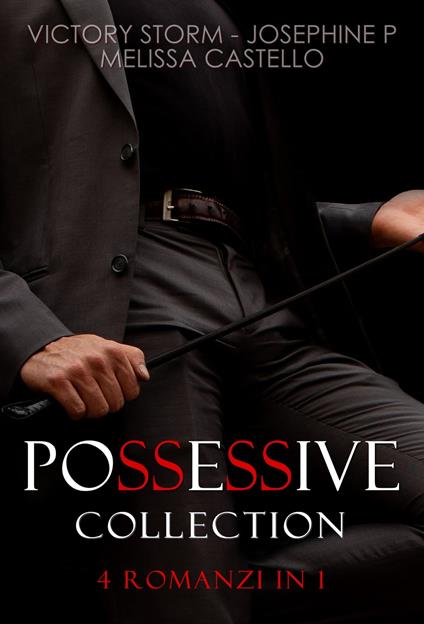 Possessive collection - Melissa Castello,Josephine P,Victory Storm - ebook