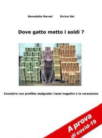 Dove gatto metto i soldi ? - Enrico Gei,Benedetto Neroni - ebook