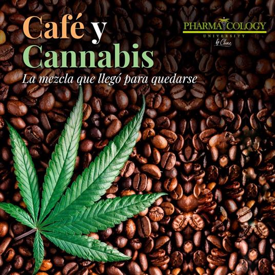 CAFÉ Y CANNABIS