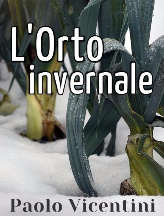 L'Orto invernale - Vicentini Paolo - ebook
