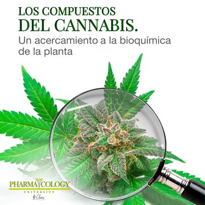 Los compuestos del cannabis