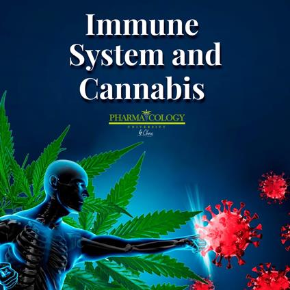 Immune system and cannabis