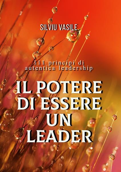 IL POTERE DI ESSERE UN LEADER - Silviu Vasile - ebook