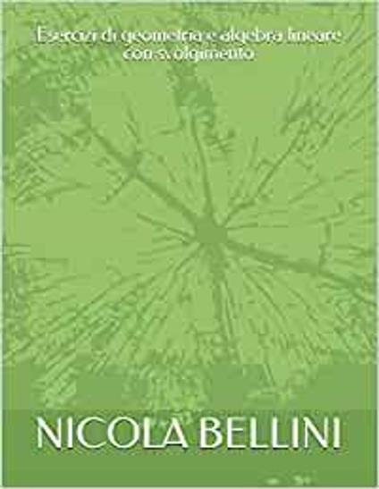 Esercizi di geometria e algebra lineare con svolgimento - Nicola Bellini - ebook