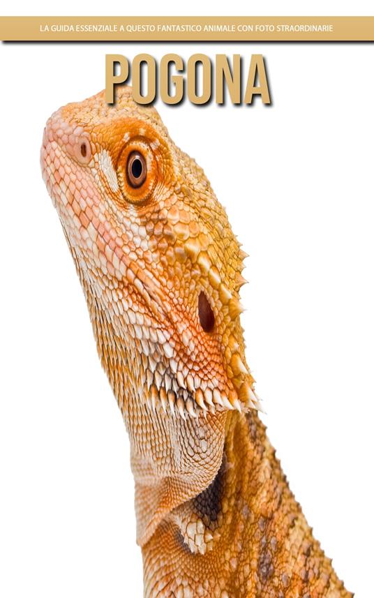 Pogona: la guida essenziale a questo fantastico animale con foto straordinarie - Claudia Santopaolo - ebook