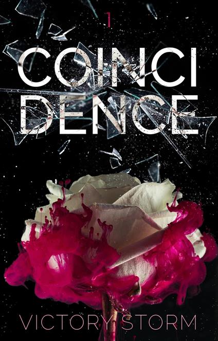 Coincidence - Victory Storm - ebook