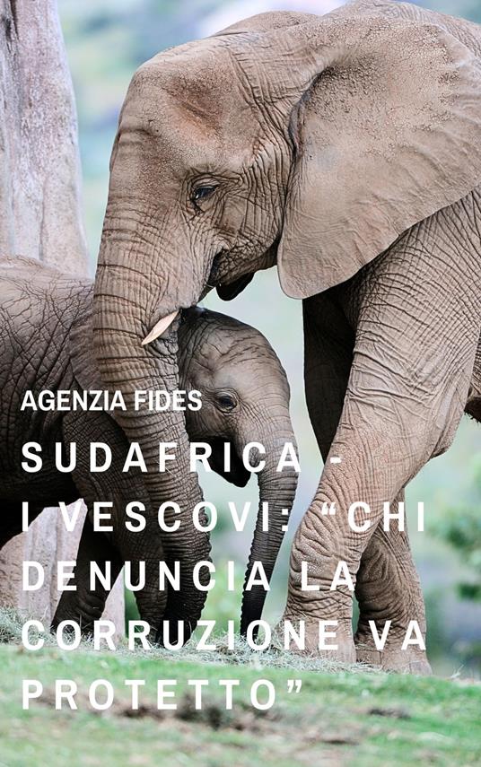 SUDAFRICA - i Vescovi: “Chi denuncia la corruzione va protetto” - Agenzia Fides - ebook