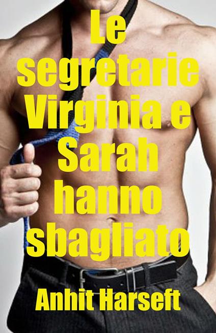 Le segretarie Virginia e Sarah hanno sbagliato - Anhit Harseft - ebook