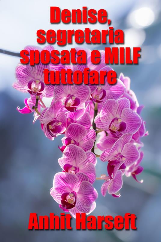 Denise, segretaria sposata e MILF tuttofare - Anhit Harseft - ebook