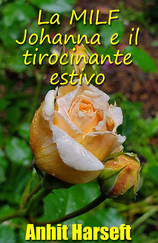 La MILF Johanna e il tirocinante estivo - Anhit Harseft - ebook