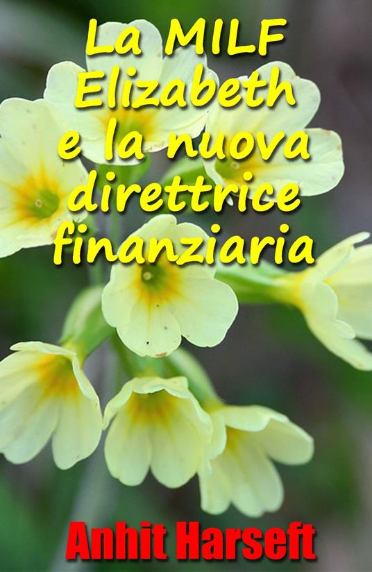 La MILF Elizabeth e la nuova direttrice finanziaria - Anhit Harseft - ebook