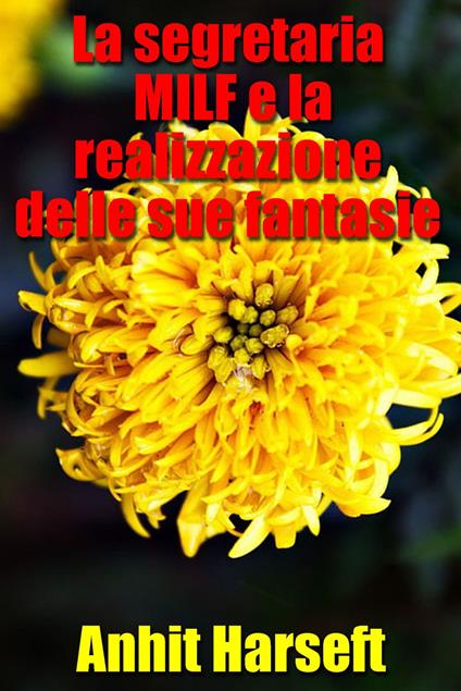 La segretaria MILF e la realizzazione delle sue fantasie - Anhit Harseft - ebook