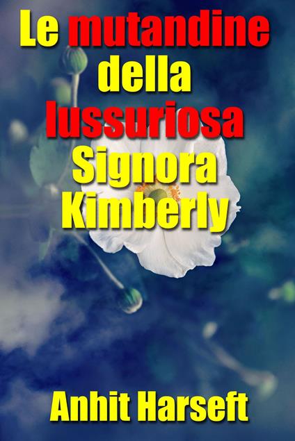 Le mutandine della lussuriosa Signora Kimberly - Anhit Harseft - ebook