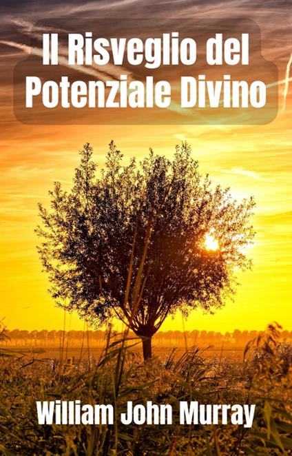 Il Risveglio del Potenziale Divino - A.R.Ribeiro,William John Murray - ebook