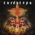 Cordyceps