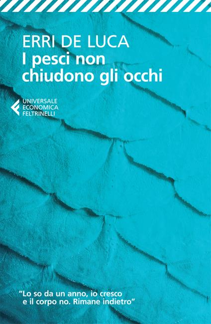 I pesci non chiudono gli occhi -  Erri De Luca - copertina