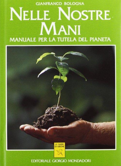 Nelle nostre mani - copertina