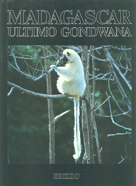 Madagascar ultimo Gondwana - 3