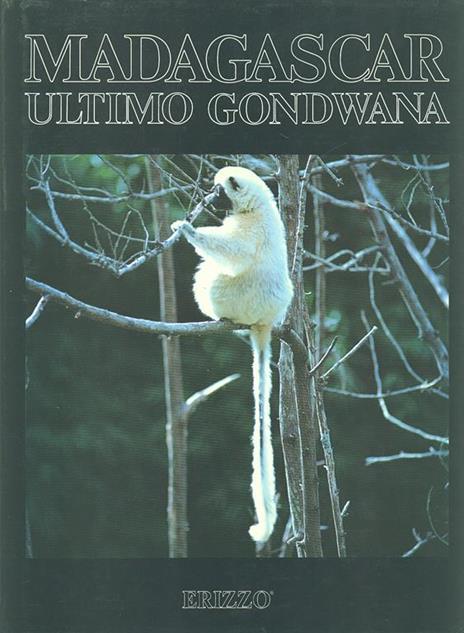 Madagascar ultimo Gondwana - copertina