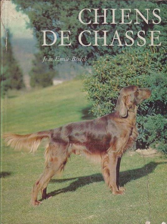 Chiens De Chasse - Jean Emile Benech - 3